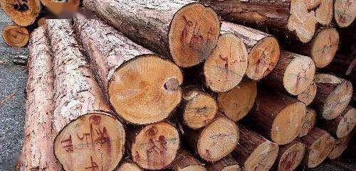 木材深讀 設(shè)計(jì)師必備的木材知識(shí)與應(yīng)用藝術(shù)